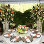 outdooreventcatering17