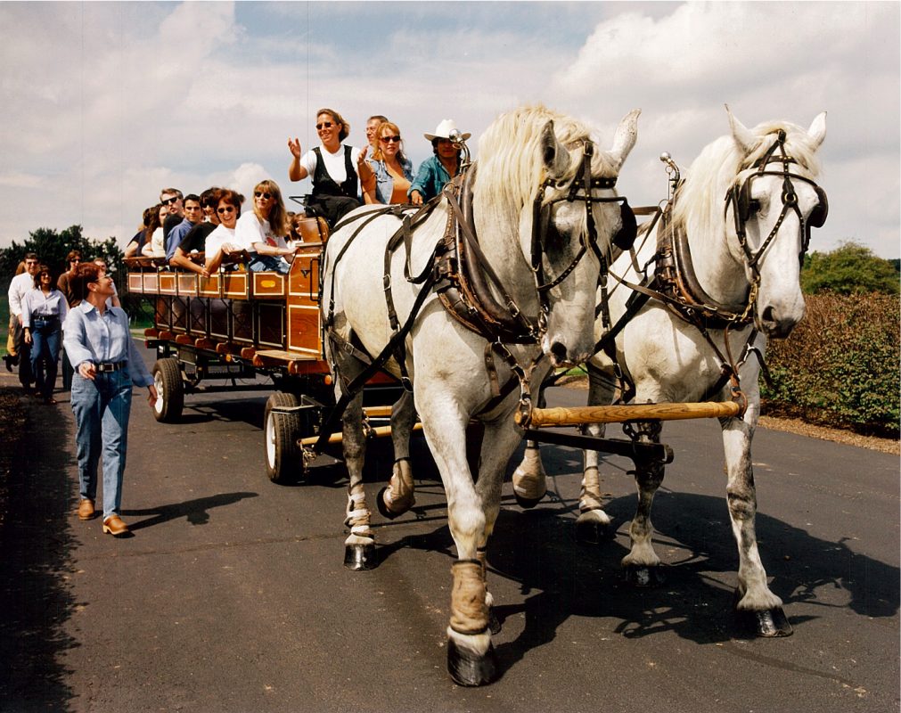 LuShéann Caterers